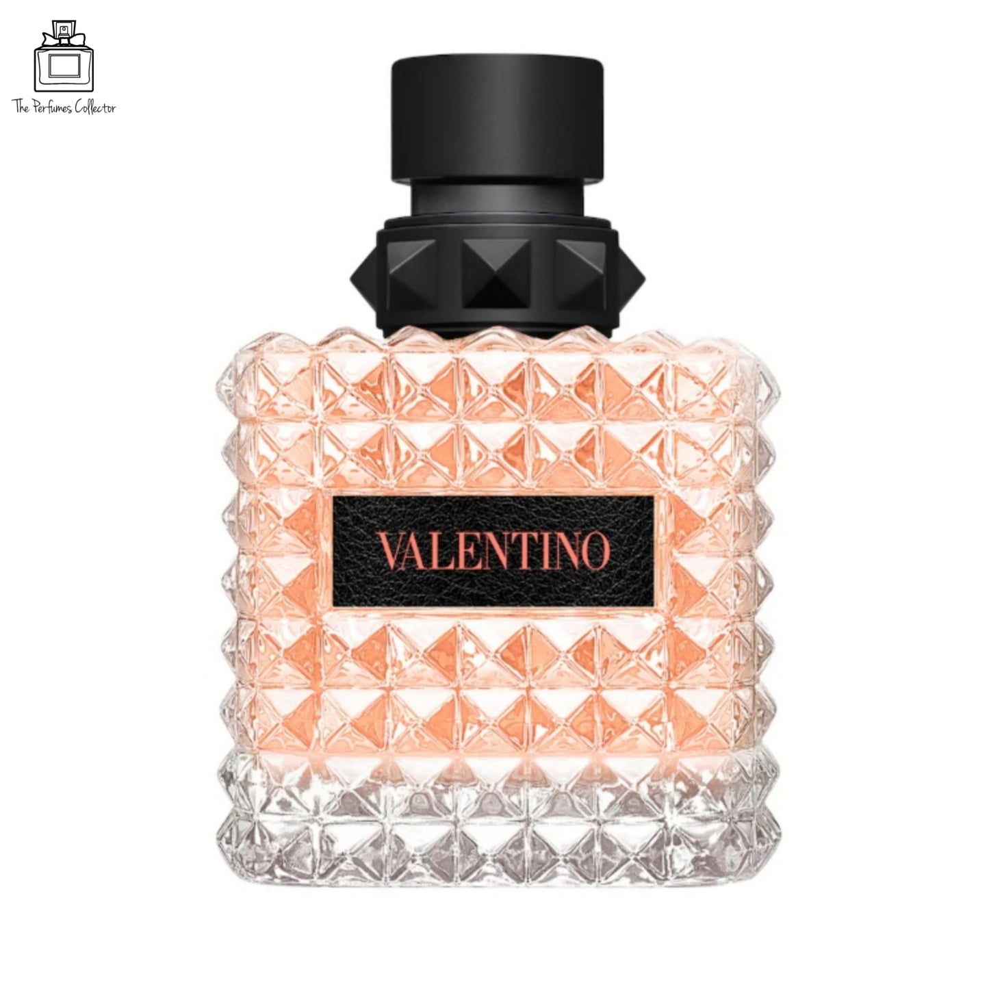 BORN IN ROMA CORAL FANTASY (Female ) By Valentino